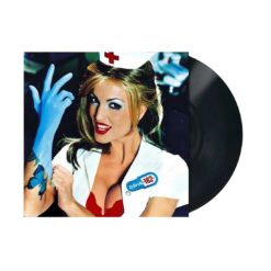 Blink 182 - Enema of the State Vinyl
