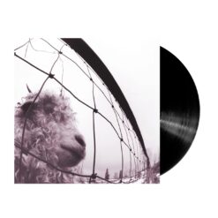Pearl Jam - Vs Vinyl