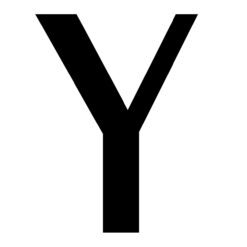 Y