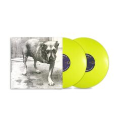 Alice In Chains - Alice In Chains (30th Anniversary Yellow Edition) Vinyl