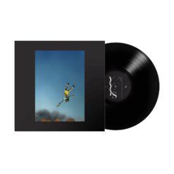 Yeah Yeah Yeahs - Cool It Down Vinyl